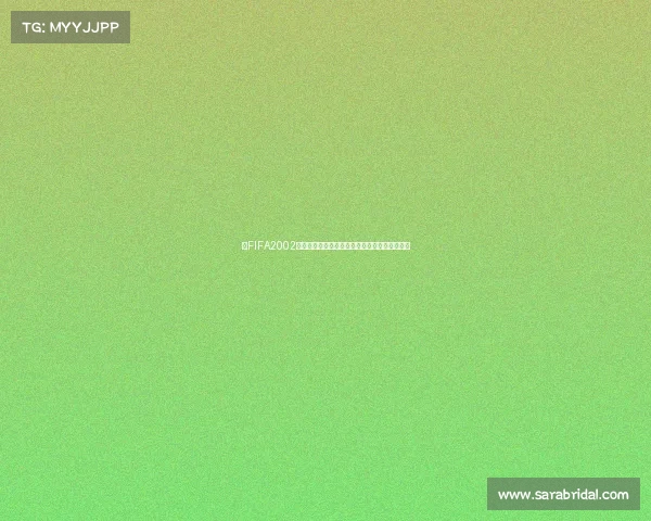 以FIFA2002世界杯版本为核心重温经典绿茵激情与传奇对决